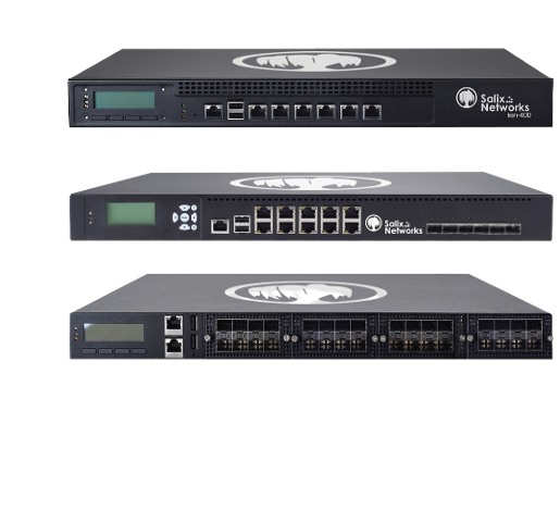 Firewall Lion3300-400